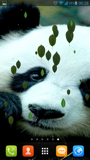 【免費個人化App】Sweet Pandas Live Wallpaper-APP點子