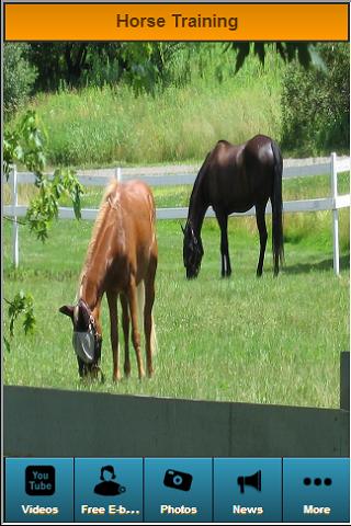 Horse Training