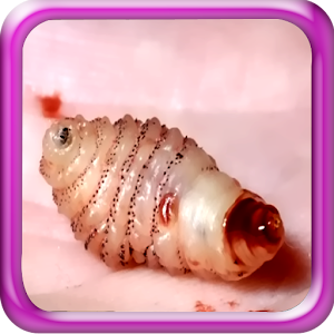 Tapeworm Diet 1.1