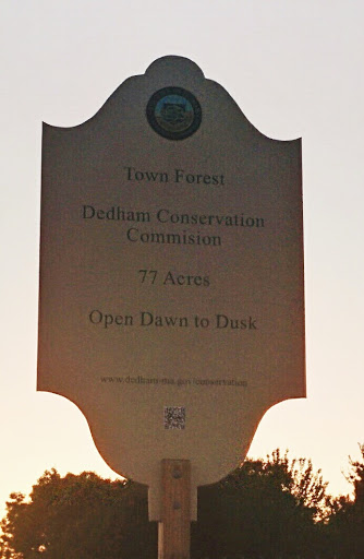 Dedham Town Forest