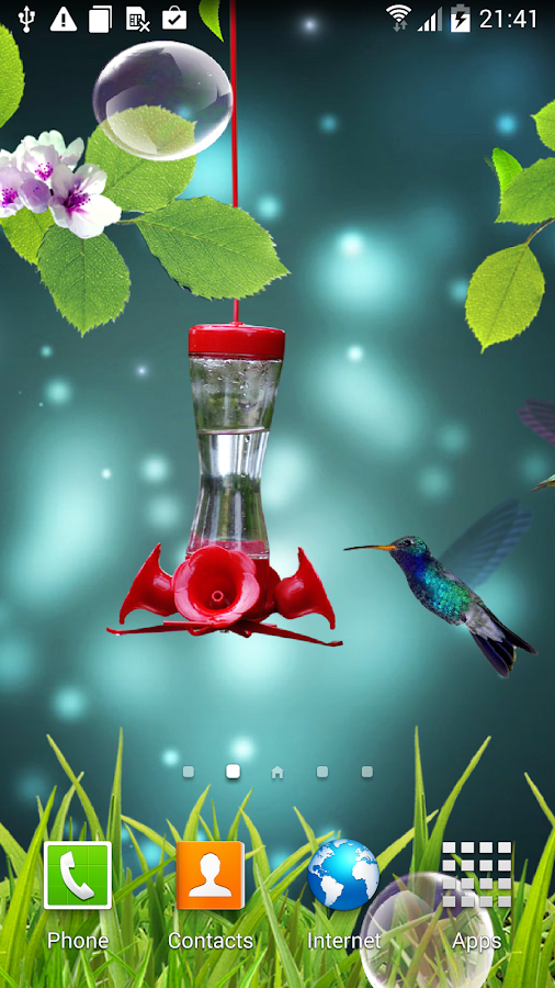 Hummingbirds wallpaper Android Apps on Google Play