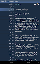 Quran in Arabic poster 14