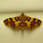 Yellow-blotched Flame Moth