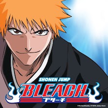 Bleach