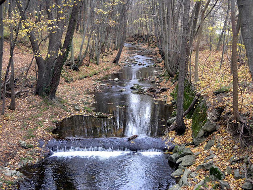 Schwechatbach-Austria - Schwechatbach is a place in the Vienna Woods in Lower Austria.