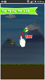 Double Flappy poster 17
