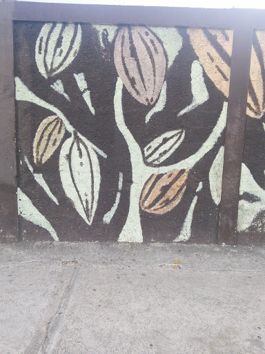 Muro Al Cacao Dominicano