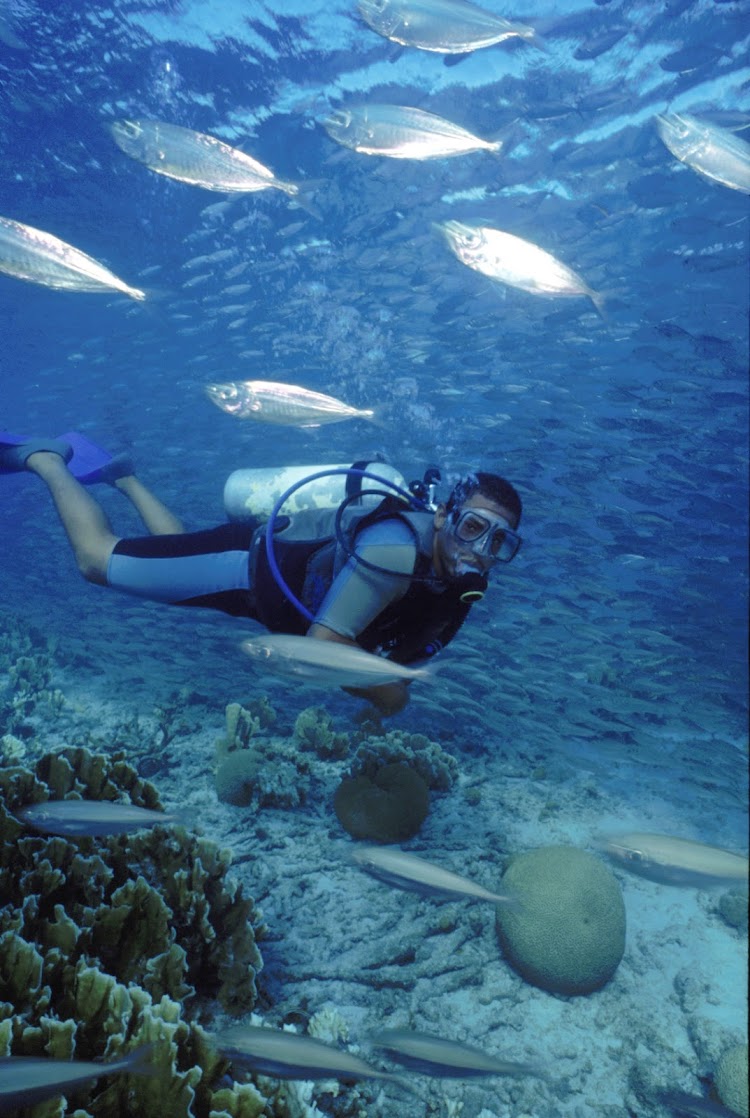 Scuba diving off the coast of Bonaire in the southern Caribbean.