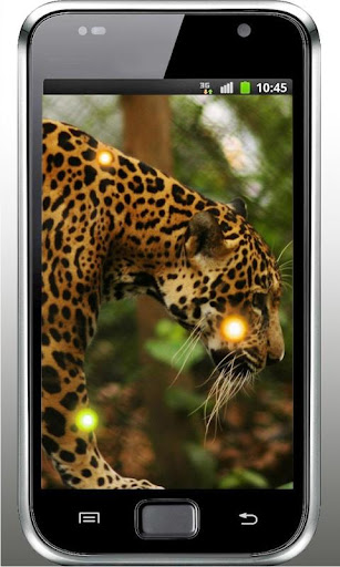 Jaguar Love Heart HD LWP