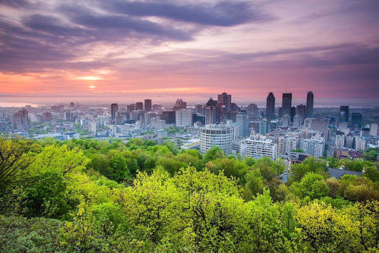 A scenic view from a hilltop overlooking the Montreal cityscape. 