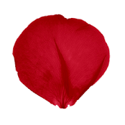 Petals Valentines Day LW 1.7 Icon