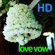 Love Vow APK