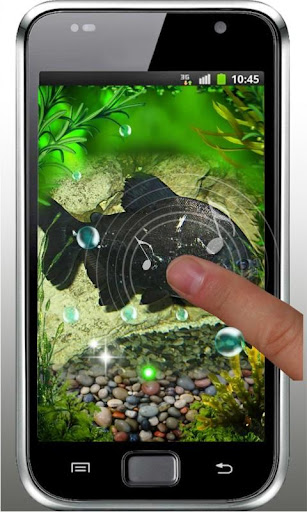 免費下載個人化APP|Aquarium Free live wallpaper app開箱文|APP開箱王