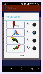 Parrot Live Wallpaper poster 8