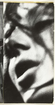 Two pages from the Diary of an Erotomaniac