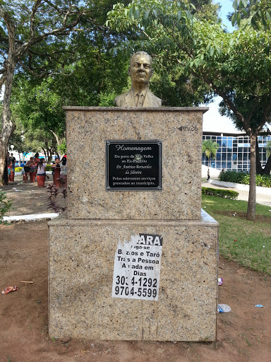 Busto do Dr. Américo Bernardes da Silveira
