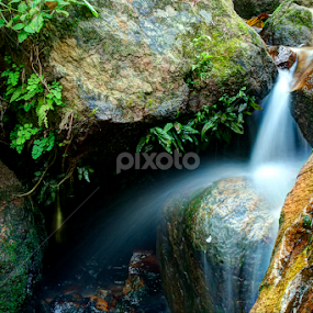  Munnar Kerala Water Fall  by Vyom Saxena - Nature Up Close Water