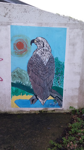 Eagle Graffiti 