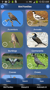 Bird Song Id: Auto Recognition(圖3)-速報App