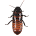 Infestation Free LW icon