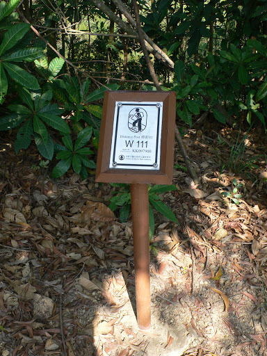 Wilson Trail Distance Post W111