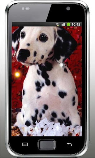 Puppy Gallery HD LiveWallpaper