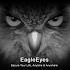 EagleEyes(Lite)1.7.5