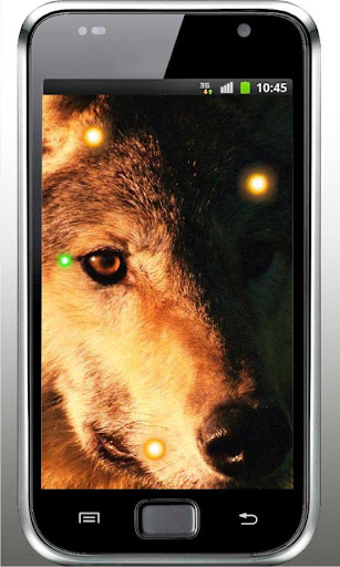 Wolf Best HD live wallpaper