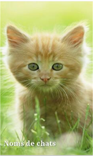 How to download Noms de chats 1.0 apk for android