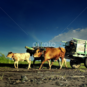 Javanish Cart #02 by Endro Boloth - Transportation Other