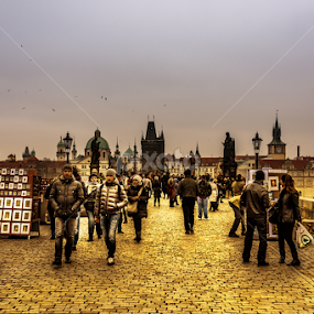 Carol bridge of Prague by Nicolin Vladimir - City,  Street & Park Historic Districts