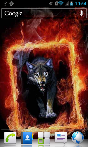 Wolf in Fiery Frame a live