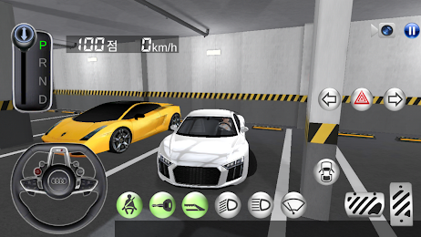 3D Driving Class 3