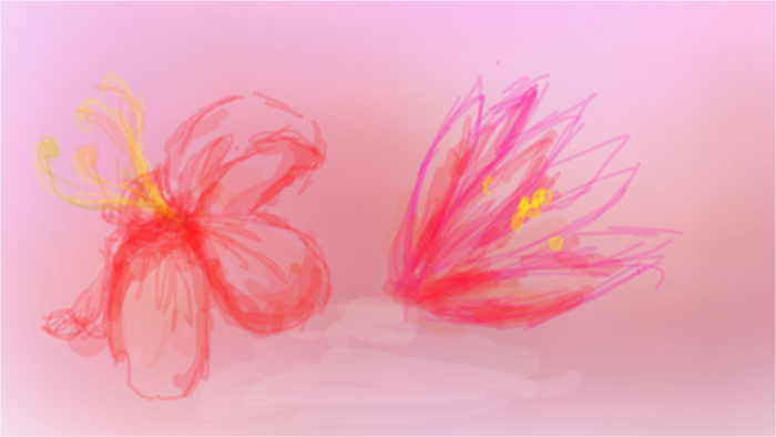 random sketch
