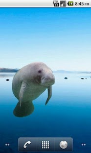 Free Manatee Sticker APK for PC