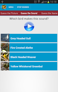 African Birds Sounds(圖5)-速報App