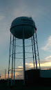 Lion Water Tower