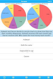 13+ Maths Lite poster 12