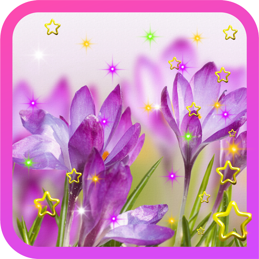 Crocus Photo live wallpaper LOGO-APP點子