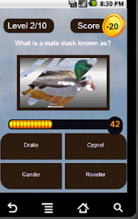 Lastest Brain O Drill APK