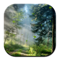 Forest Morning Live Wallpaper logo
