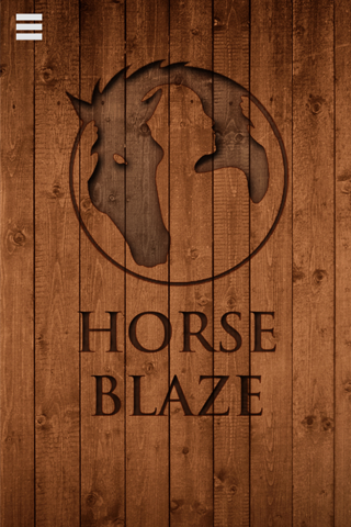 Horse Blaze