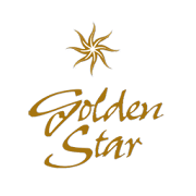 Golden Star  Icon