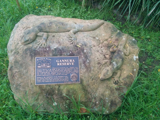 Gannura Reserve Rock Sculpture