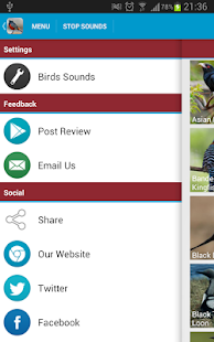 Asian Birds Sounds Free(圖8)-速報App