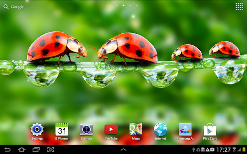 Macro Photos Live Wallpaper(圖5)-速報App