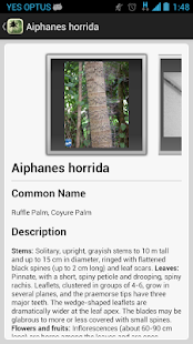 Palm ID Key(圖4)-速報App