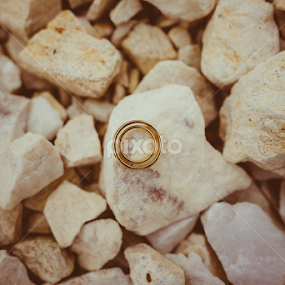 by Attila Hajos - Uncategorized All Uncategorized