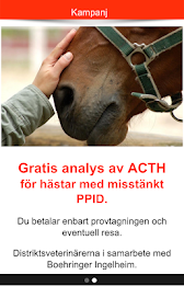 Din veterinär Flyinge poster 4