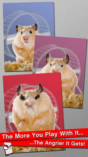 Angry Hamster Free